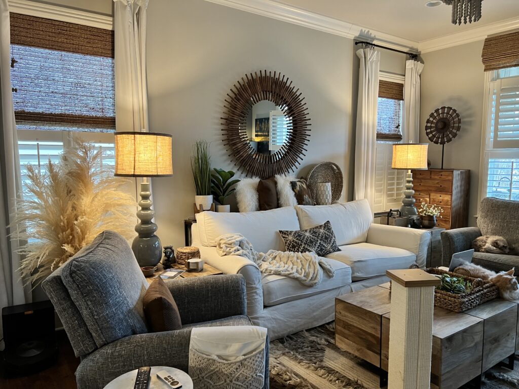 Cozy Modern Rustic Living Room Design Ideas